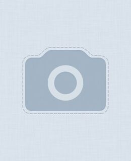 Дмитрий Косолапов